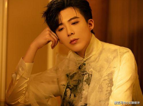 刘宇宁直播爆料最新消息视频,最新消息视频深度解析 第1张 刘宇宁直播爆料最新消息视频,最新消息视频深度解析 第1张