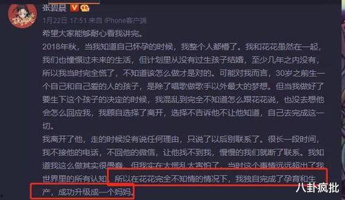 娱乐圈吃瓜Excel  第2张